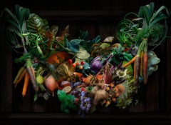 Farmer’s Market Festoon, Photograph of Fruit, Vegetables Black Background