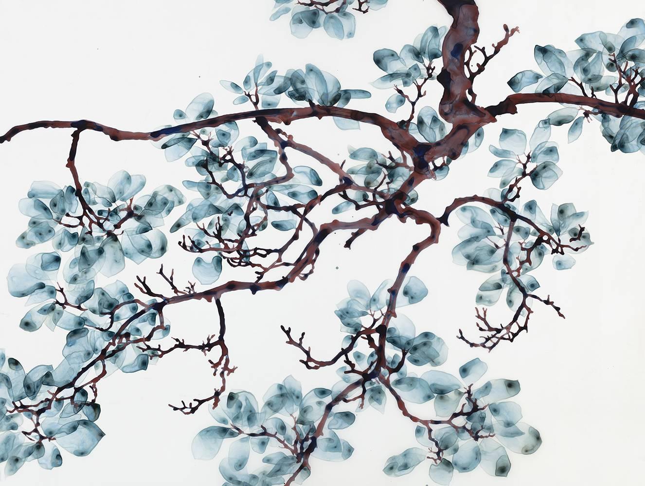 Jackie Battenfield Abstract Painting - Spring Snap, Botanical Painting on Mylar with Teal Blue Leaves on Brown Branches