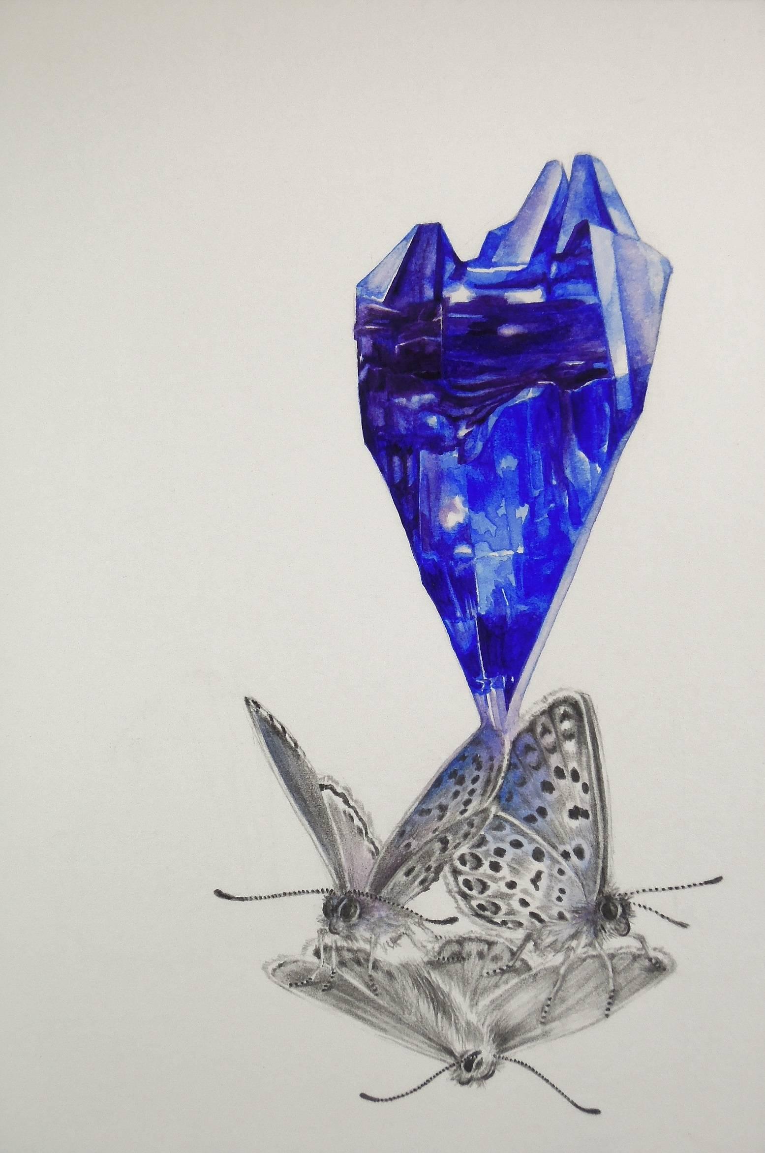 Francine Fox Animal Art - Three Common Blues, Small Royal Blue Gray Watercolor Moth Gemstone Painting