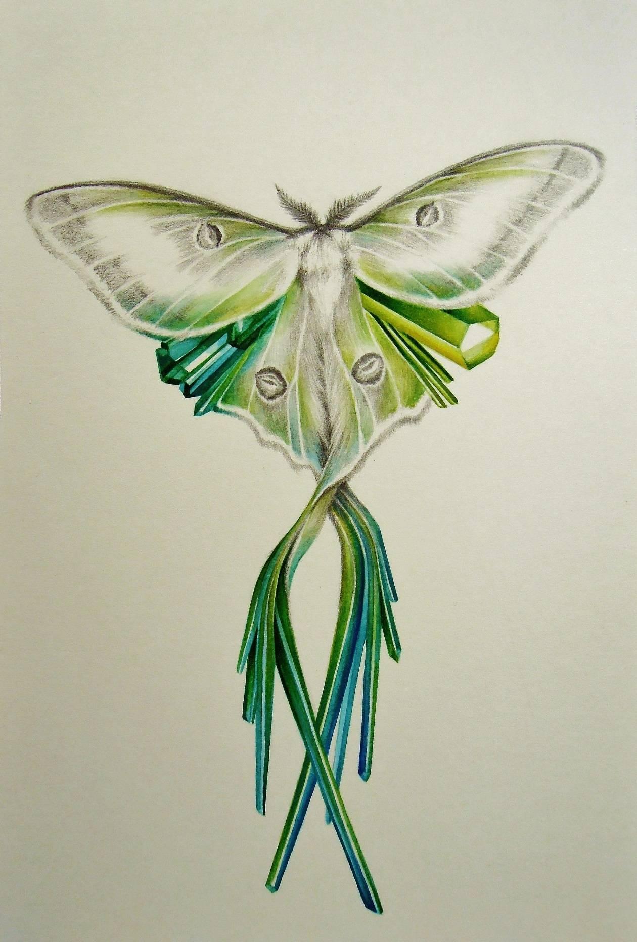 Francine Fox Abstract Drawing - Luna, Small Green Yellow Gray Watercolor Moth Painting