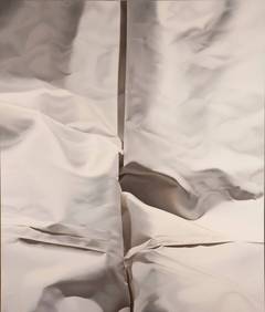 Pale Gray Number Two, Large Vertical Gray Sepia Tones, Realistic Fabric Linens