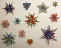 Kaleidoscopic Wallflowers