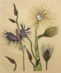 Exotica Botanica State 1, Print Number 1