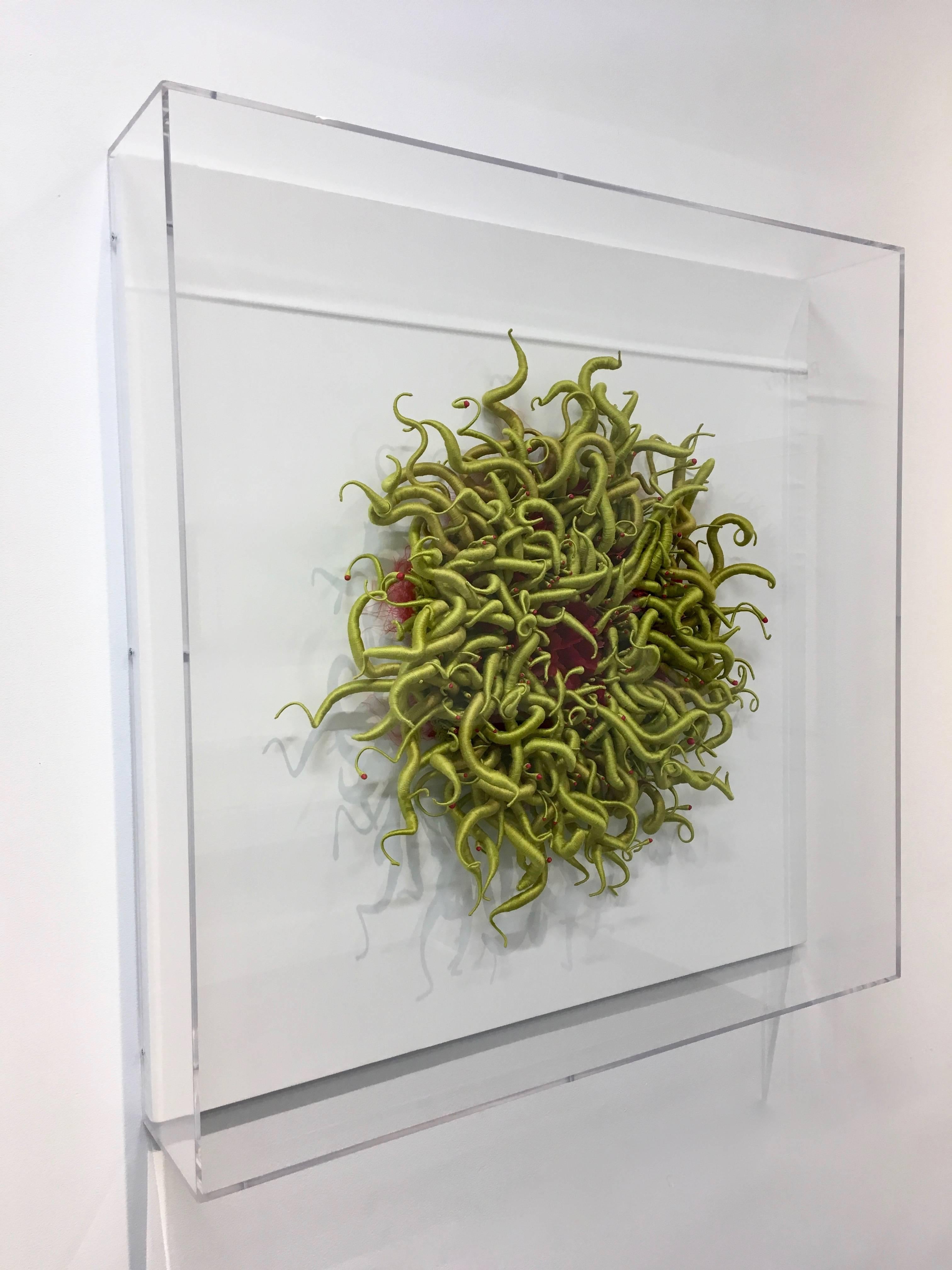Specimen 3, Framed Green and Red Sea Nature Inspired Hand-dyed Fiber Sculpture 3