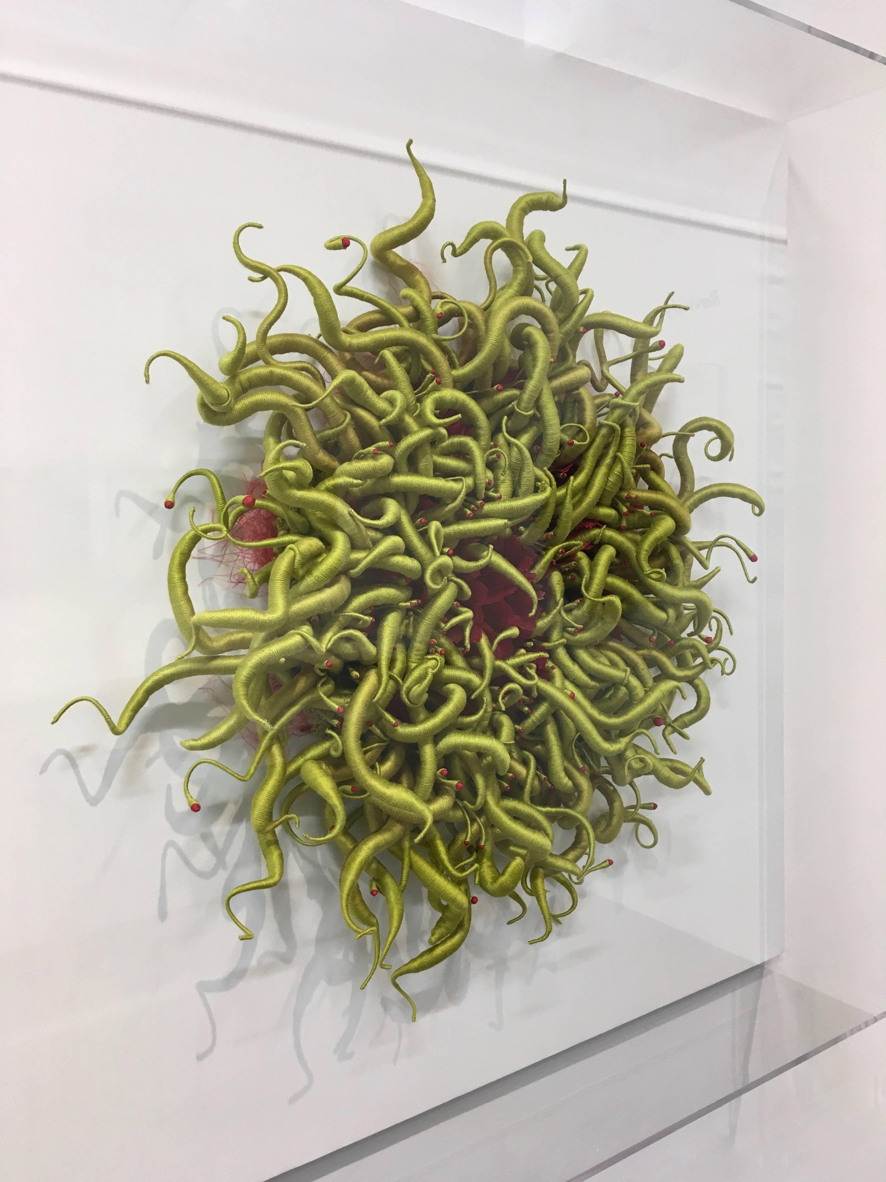 Specimen 3, Framed Green and Red Sea Nature Inspired Hand-dyed Fiber Sculpture 5