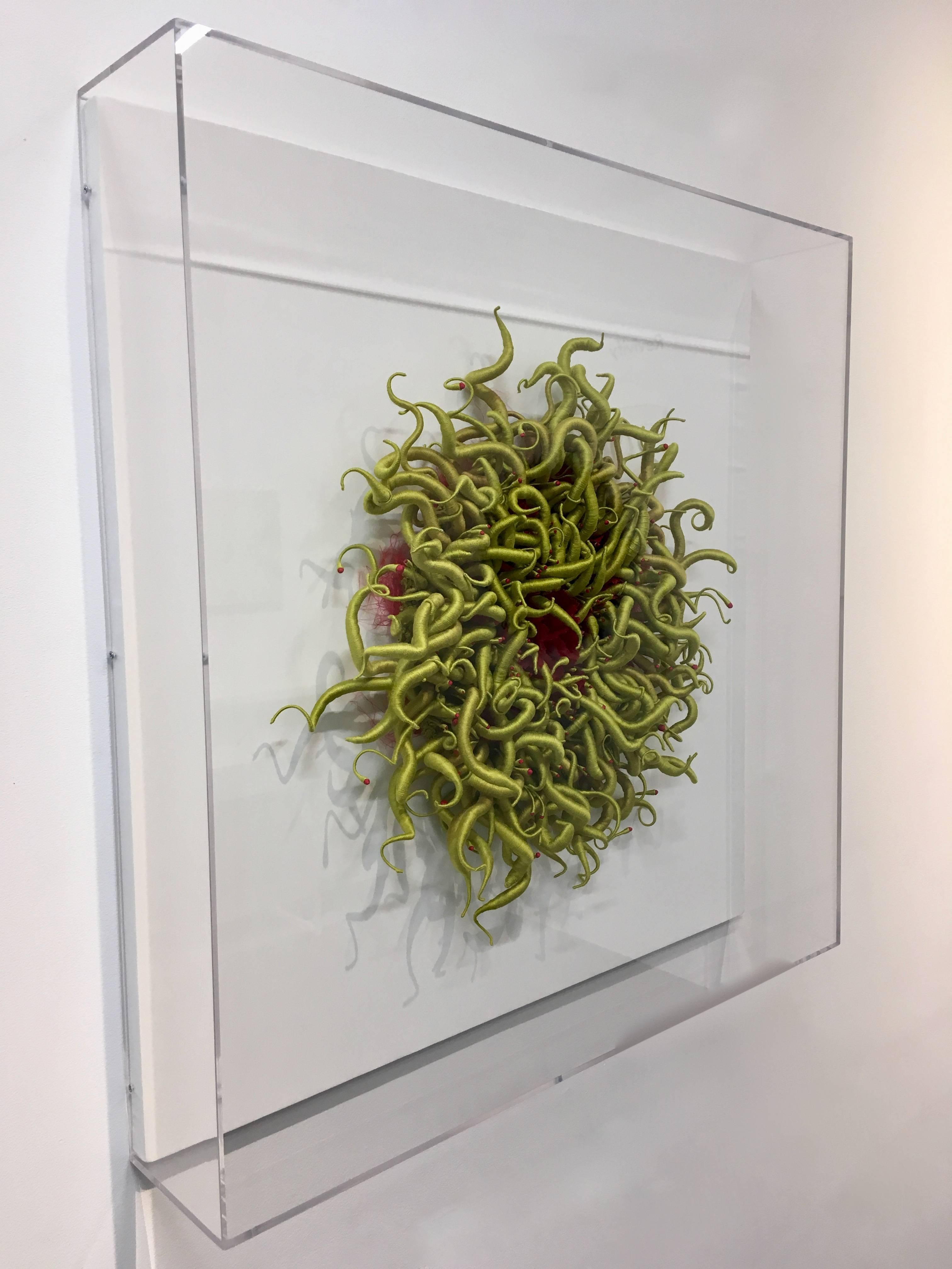 Specimen 3, Framed Green and Red Sea Nature Inspired Hand-dyed Fiber Sculpture 4