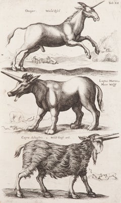 Créatures à cornes
