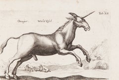 Créatures à cornes
