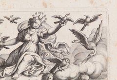 Storia naturale degli uccelli