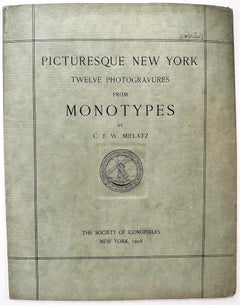 Picturesque New York; Twelve Photogravures from Monotypes