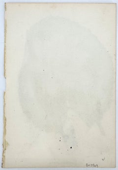 Nymphaea rubra (Red Indian Water Lily); From Paxton's Magazine of Botany