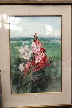 "Iris"