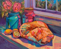 "Sunbeam Nap"