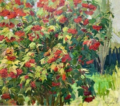 Viburnum