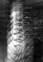 A Man Ray version of Man Ray, 1960