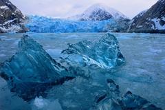 Tracy Arm, Alaska