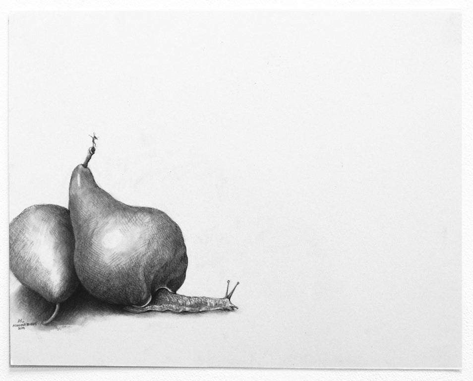 Adonna Khare Animal Art - Snail Pears