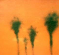 Palm Tree Monoprint 1 3