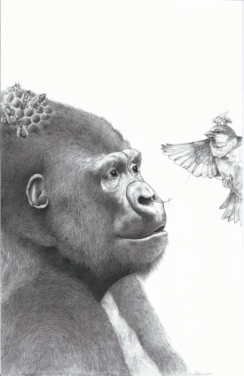 Gorilla and the Bird : A Memoir by Zack McDermott, softcover, ARC, 9/17 Gorilla and the Bird : A Memoir by Zack McDermott, softcover, ARC, 9/17