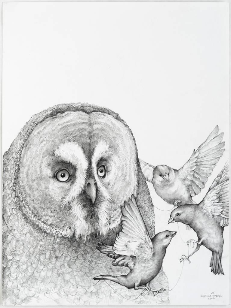 Adonna Khare Animal Art - Together, carbon pencil portrait of an owl with birds 