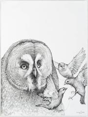 Together, carbon pencil portrait of an owl with birds 
