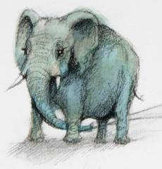 Lazy Fish Drawing, with watercolor