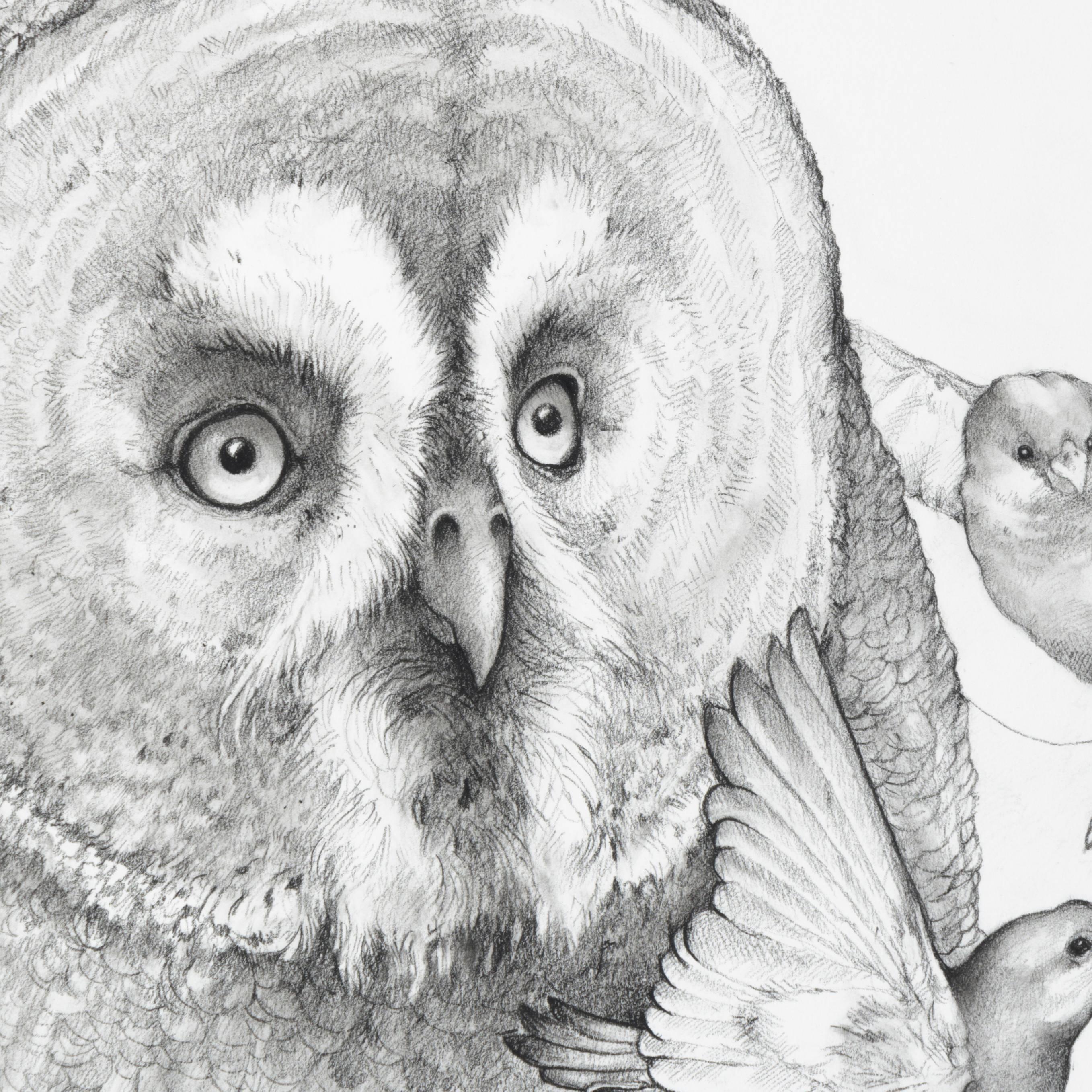 Together, carbon pencil portrait of an owl with birds  - Art by Adonna Khare