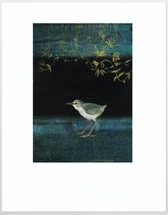 Pajaro en Verde Pigment Print