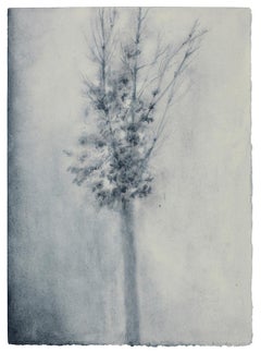 Contemporary Still-life Drawings and Watercolors