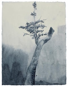 Paper Still-life Drawings and Watercolors