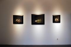 Two White Pumpkins, Still-Life Painting