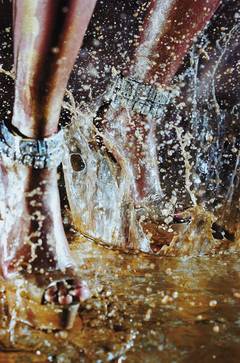 Deluge