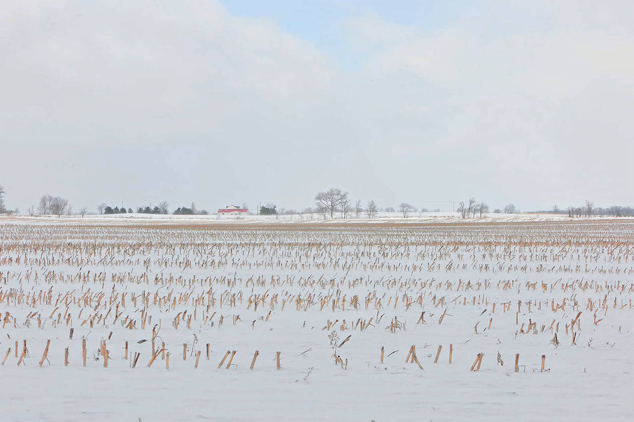 H. Hugh Miller Landscape Photograph - Serenity in Snow 02