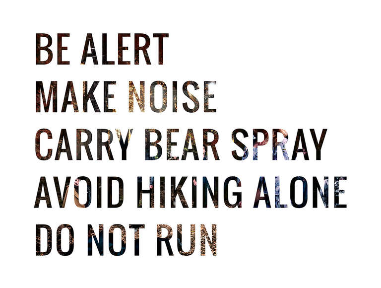 The concept of Kellems Dominik's seminal series Bear Attack - The Urban Bear emerged when she was hiking in Jackson, WY and saw a Nation Park sign that stirred her imagination. It read, “Be Alert. Make Noise. Carry Bear Spray. Avoid hiking alone. Do