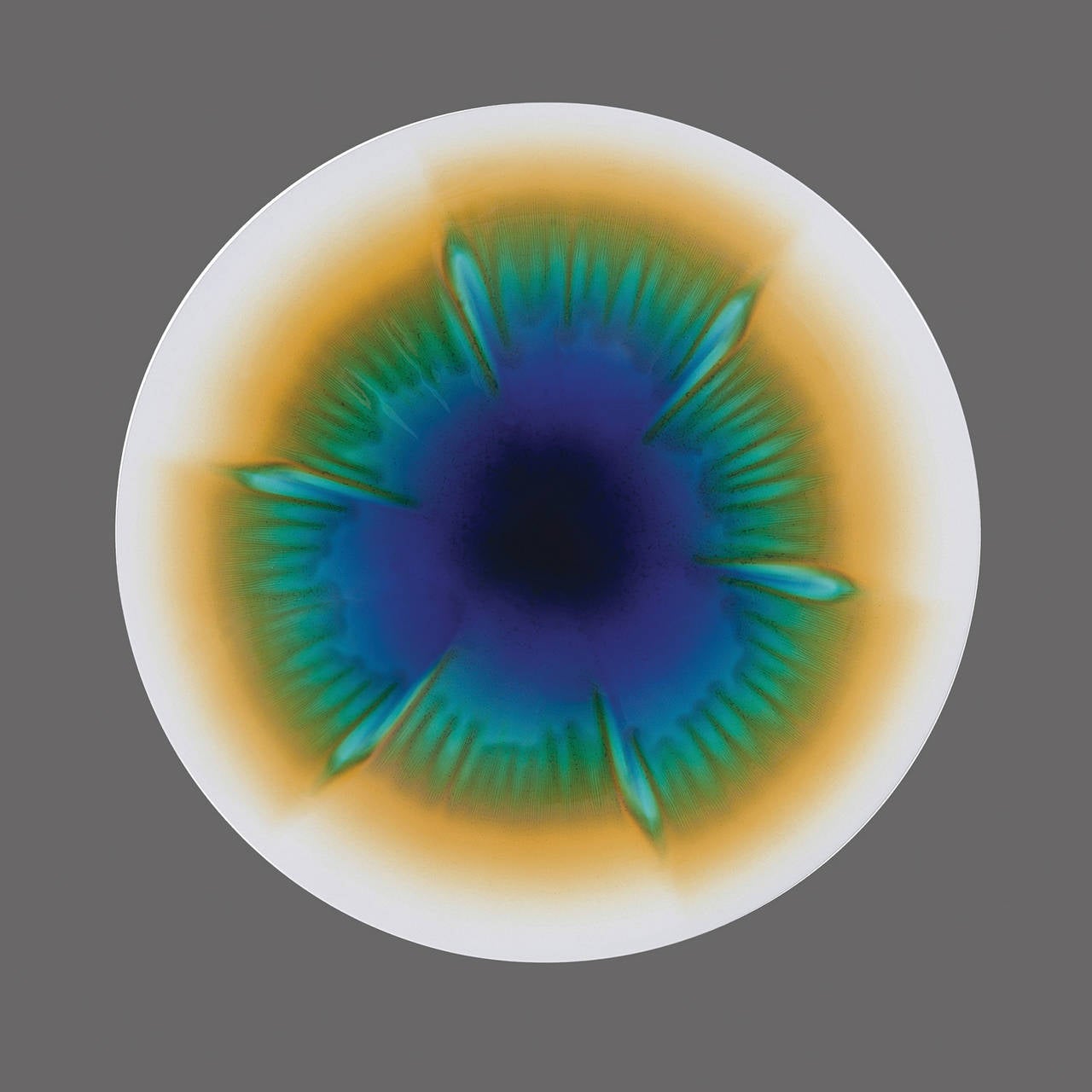 Plate - Kamon (Floral)