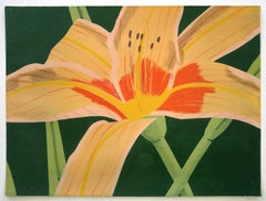 Day Lily 1,