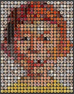 "Alfred E. Donuts", one of a kind photographic arrangement of 616 donuts,