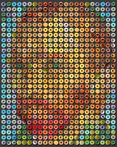 Vincent Van Donuts, one of a kind photographic arrangement