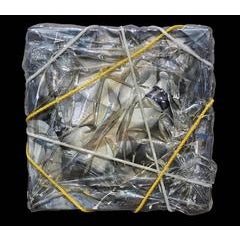 "Wrapped Hidden Torso with rope sealed in Resin" 18x18" 2