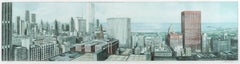 View of Chicago