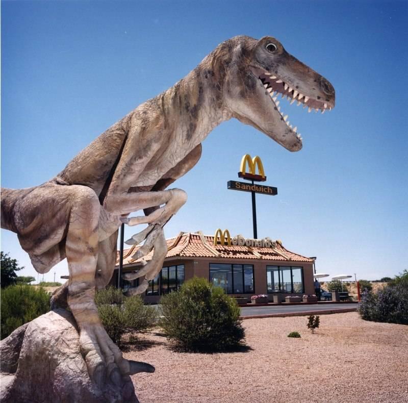 Benson, Arizona par David Graham est une impression 20 x 24 en C.C., disponible dans une édition de 25 exemplaires. Cette photographie représente une statue géante de dinosaure devant un McDonald's. Cette photographie est signée, titrée, datée et