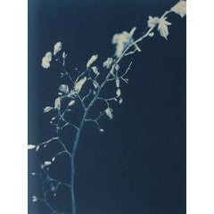 Untitled 10
