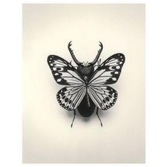 Untitled (Butterfly / Bug) 11