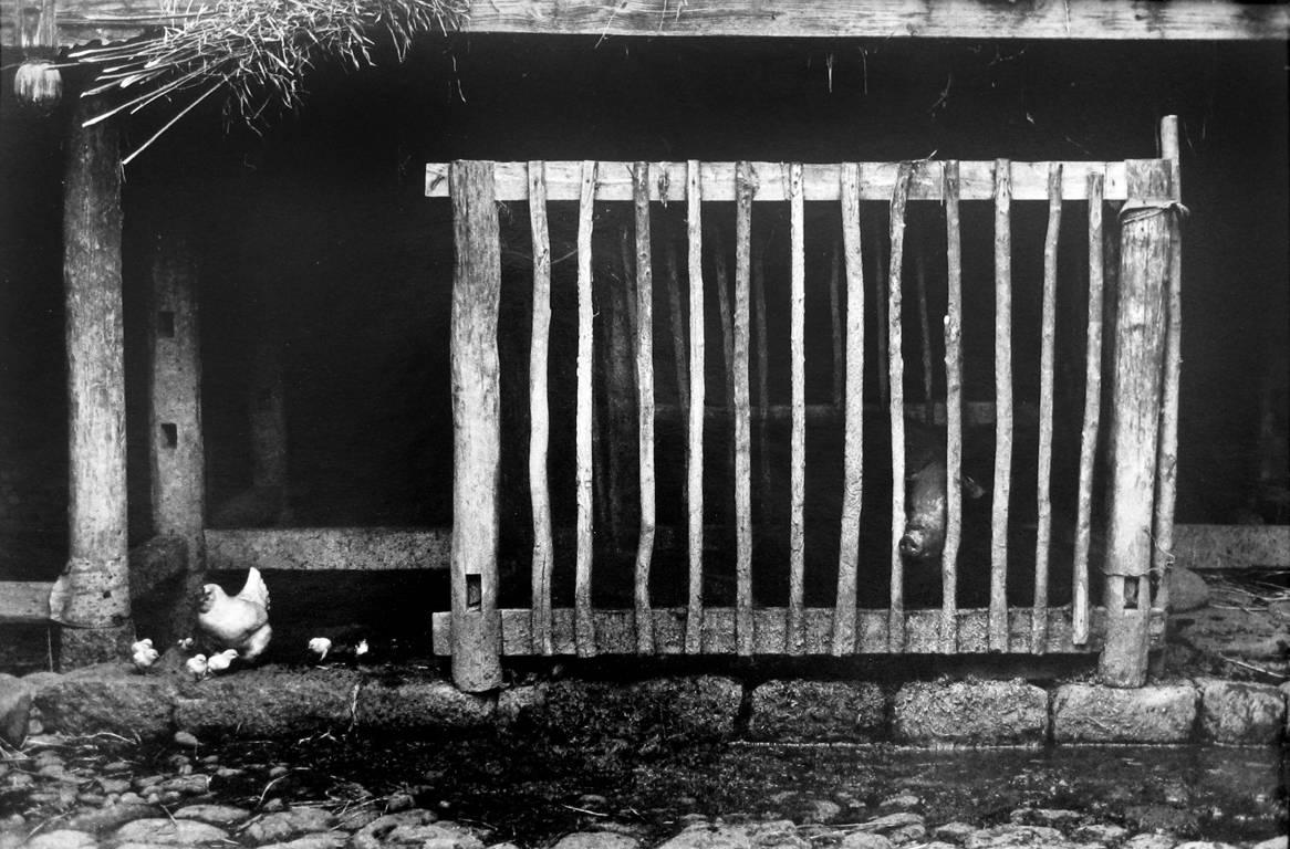 Yunnan Tengchong – Photograph von Wu Jialin