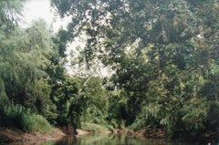 Buffalo Bayou aus Büffel