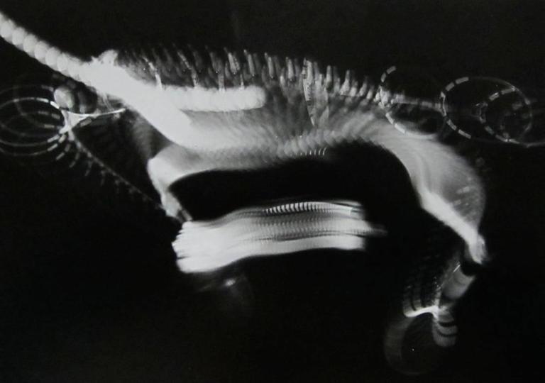 Harold Edgerton Swirls and Eddies, Tennis, from Seeing the Unseen