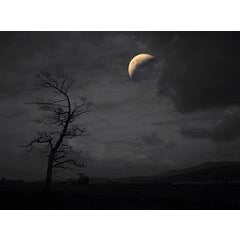 Cold Night, from Moonlight Serenade 5