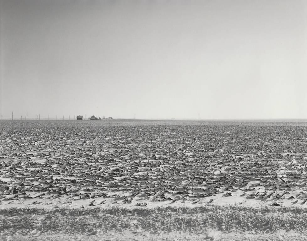 Rhondal McKinney Landscape Photograph - Untitled #3429