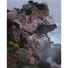 Pinnacle Ridge, Point Lobos State Park, California 3
