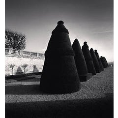 Atget's Trees, Study 3, Parc St. Cloud, Paris, France 7